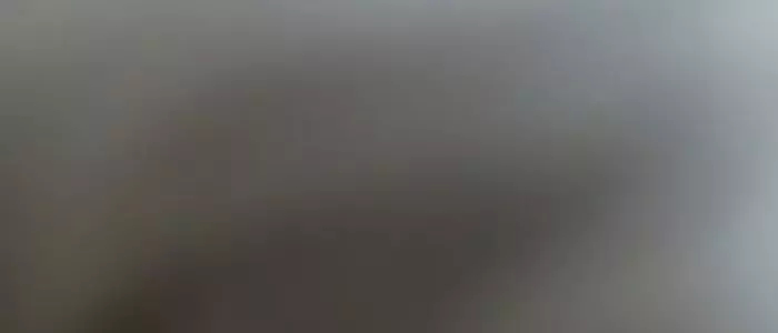 Menschen im Büro tauschen sich aus